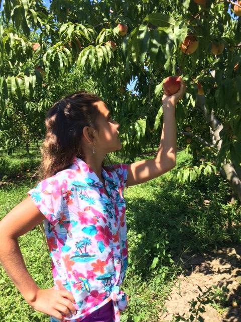 Summer Peach Chilled Soup
