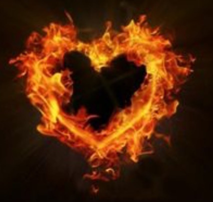 Prevention:  The First Response