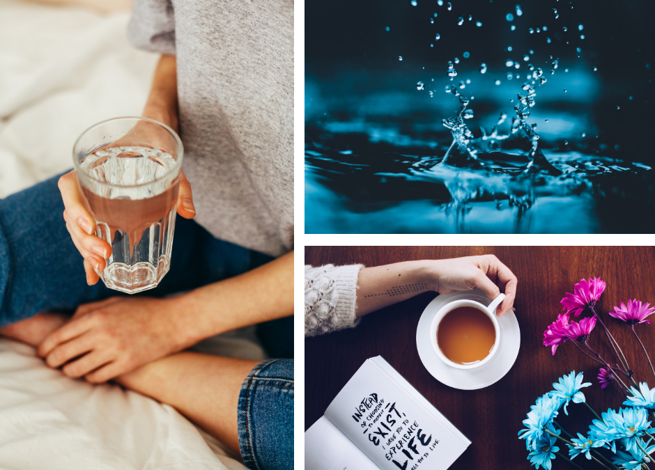 Hydration in Hibernation